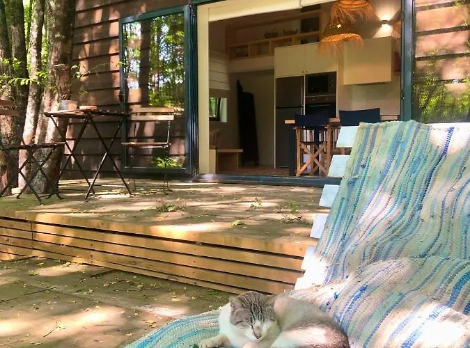 Barn House Do Ecotourism Quinta Lamosa اركوس دي فالديفيز