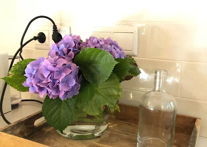 Semesterbostad Barn House Do Ecotourism Quinta Lamosa